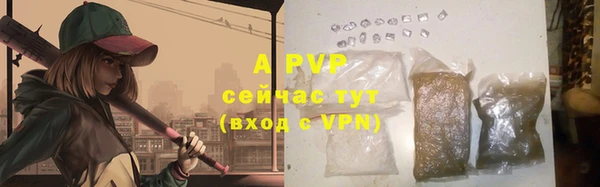 трава Белокуриха