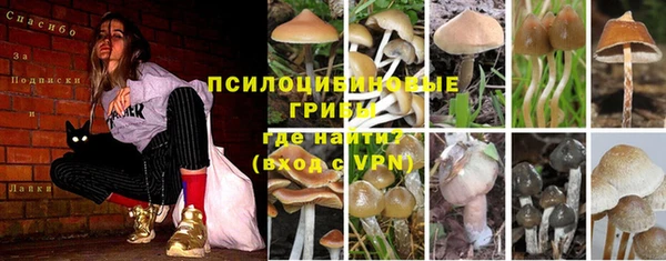 прущая мука Беломорск