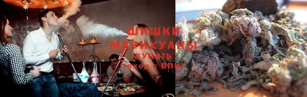 трава Белокуриха