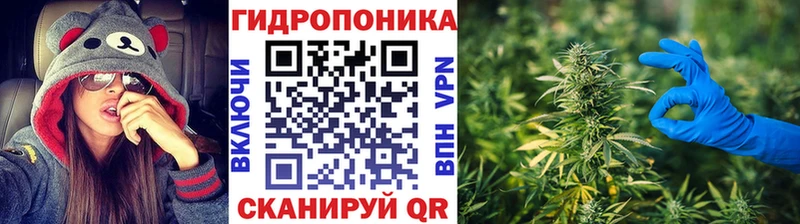 Канабис THC 21%  закладки  площадка клад  Ленинградская 